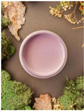 New Sealed Secret Path Dixie Belle Chalk Mineral Paint 8oz